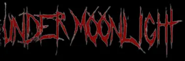 logo Under Moonlight